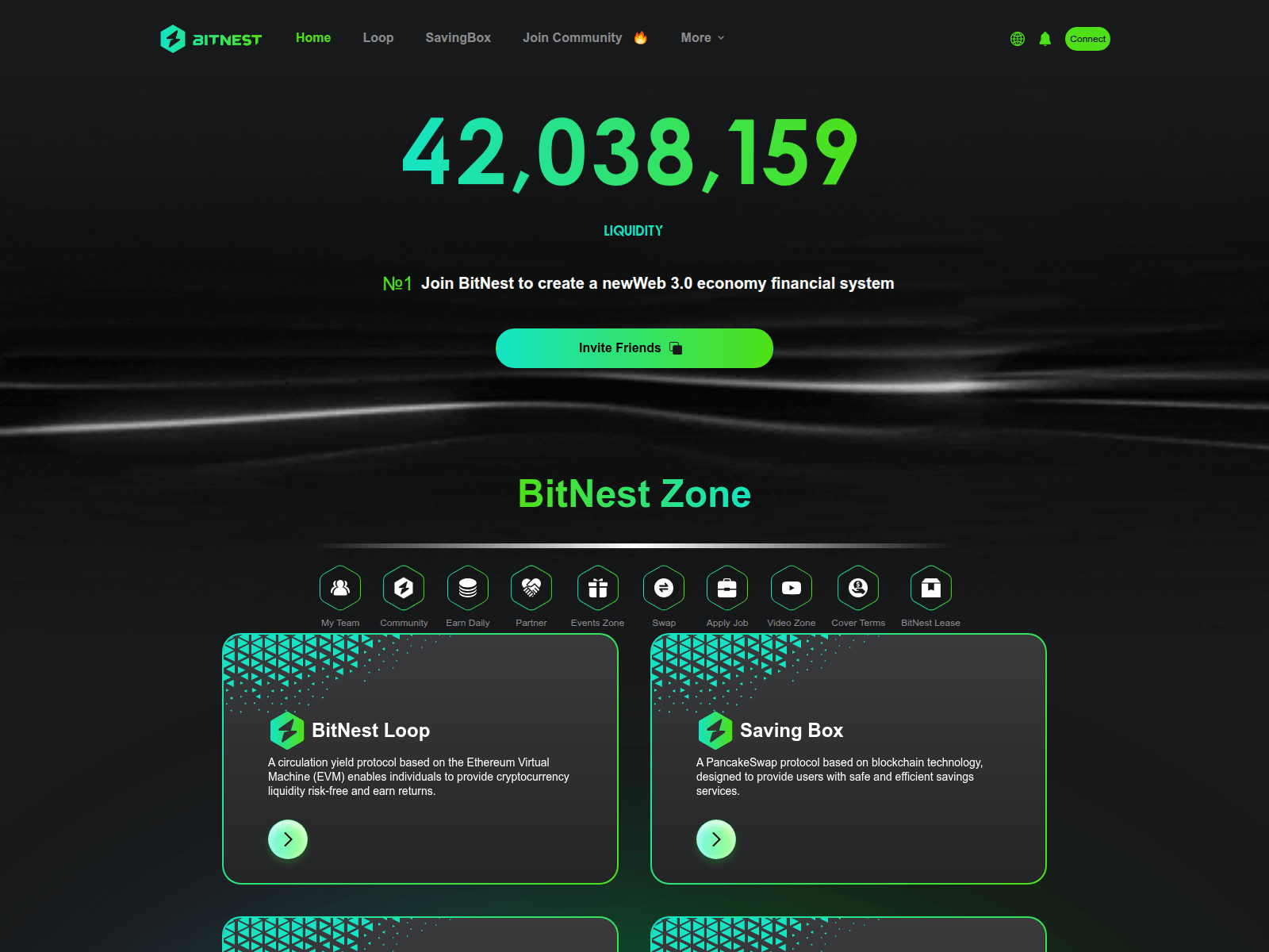 Forensic screenshot of bitnestloopreturn.xyz