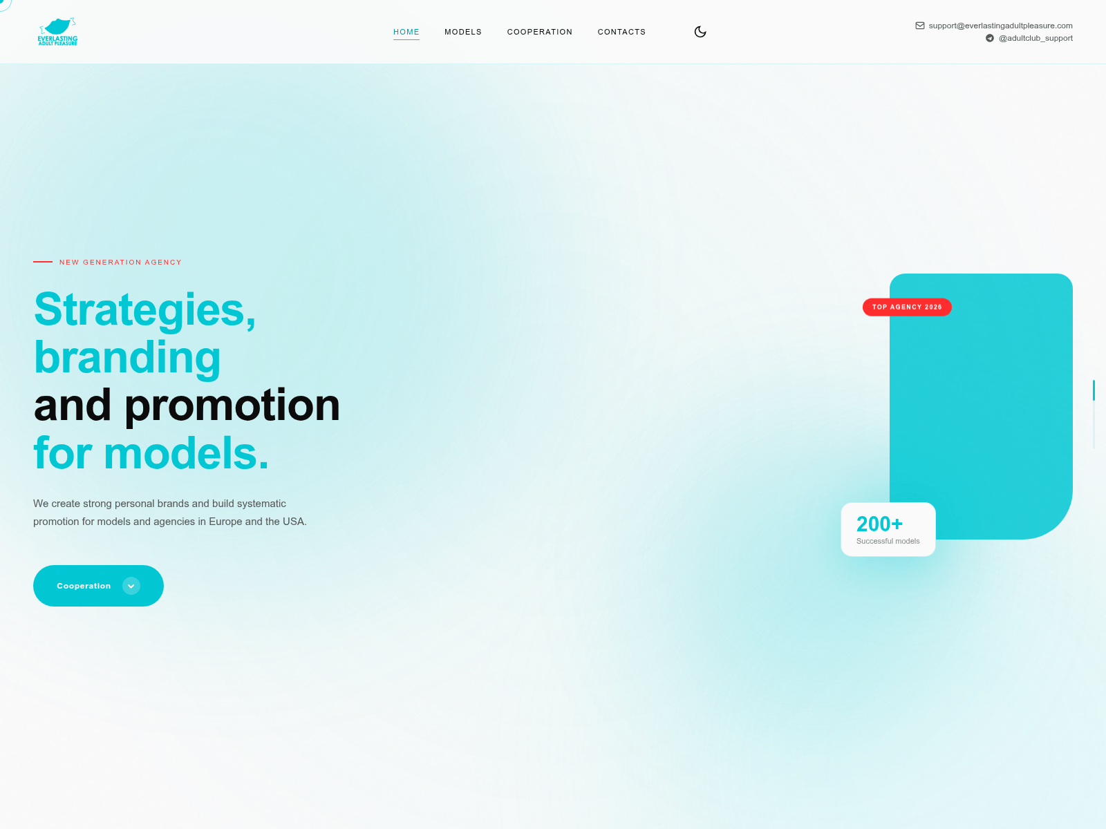 Forensic screenshot of everlastingadultpleasure.com