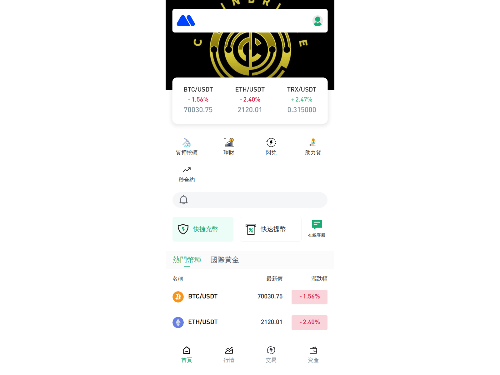 Forensic screenshot of chainbridsgt.cc