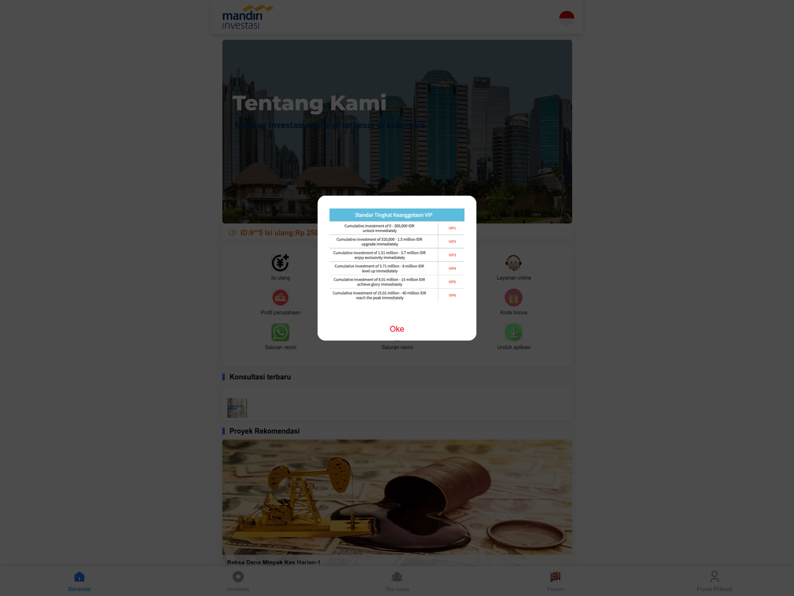 Forensic screenshot of minvestfin.com