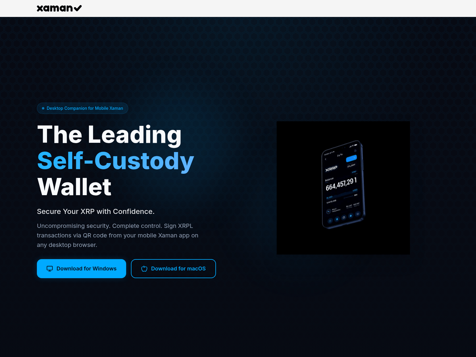 Screenshot of xamanpcwallet.app