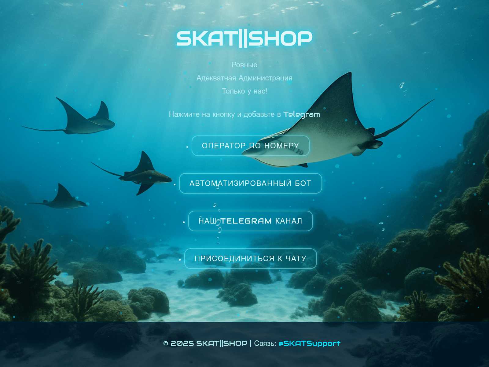 Screenshot of skt24.cc