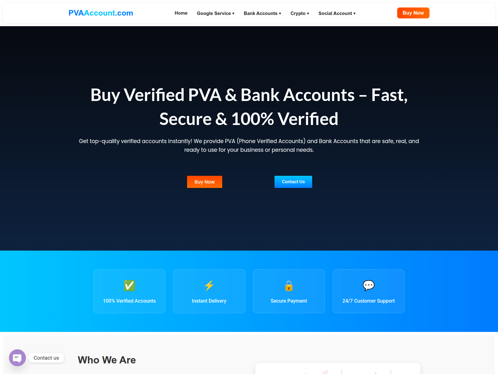 Forensic screenshot of pvaaccount.com