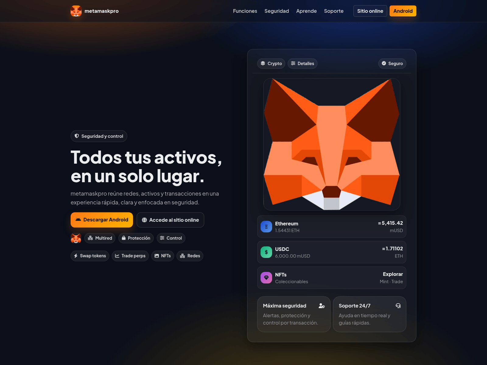 Forensic screenshot of metamaskpro.store