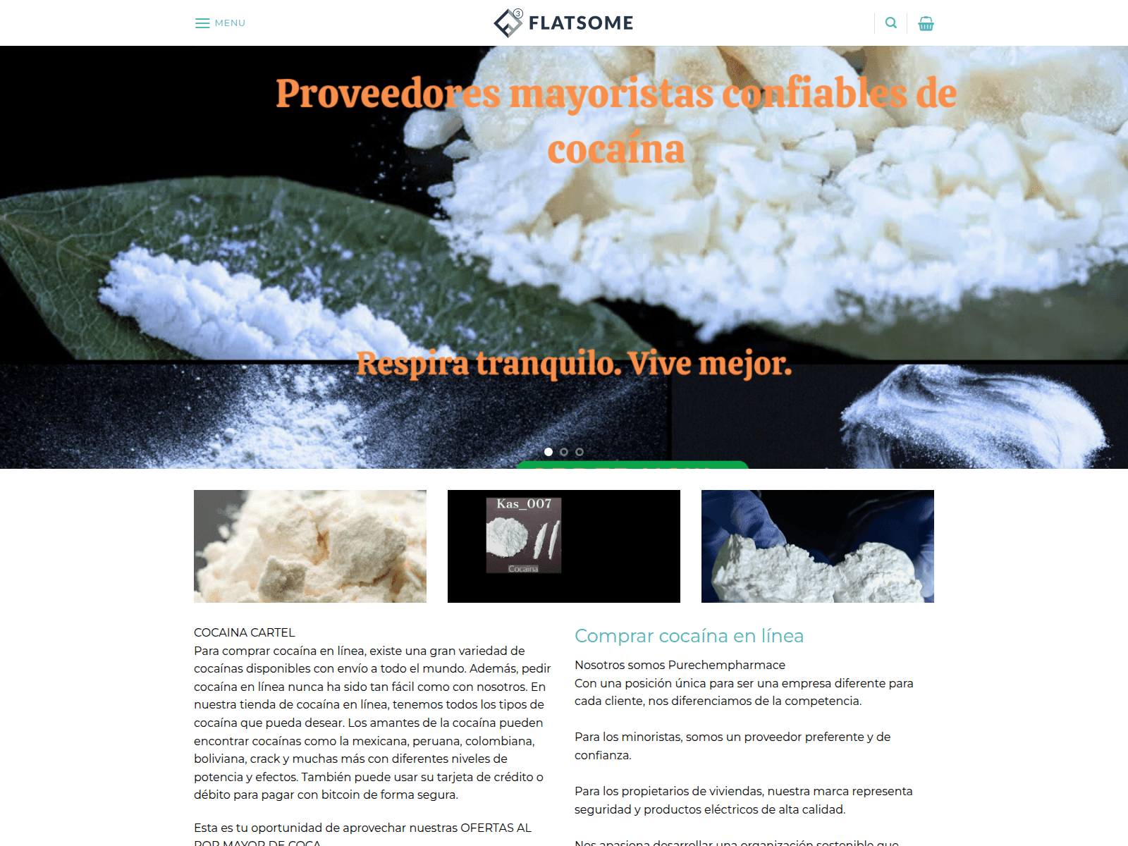 Screenshot of purechempharmace.com