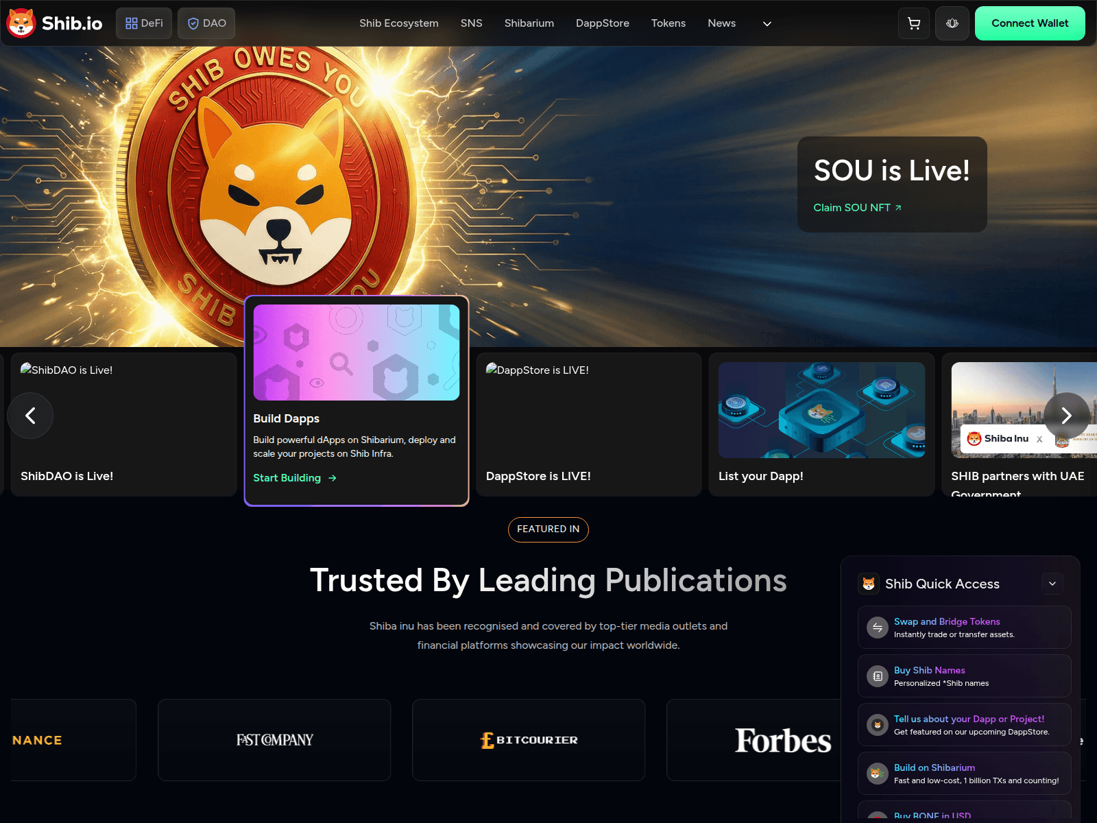 Screenshot of collect-shibinu.com