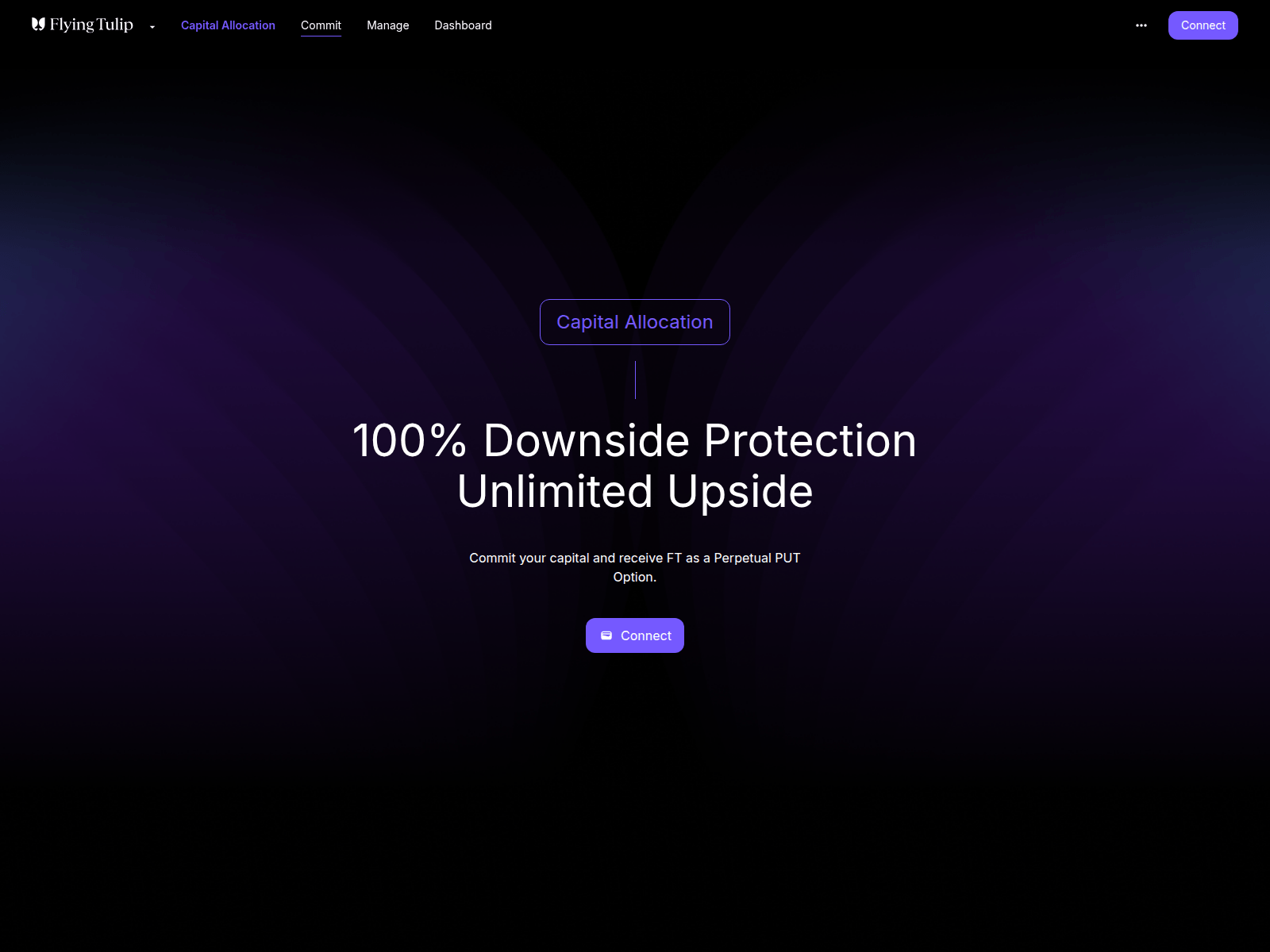 Screenshot of governance-flyingtulip.com