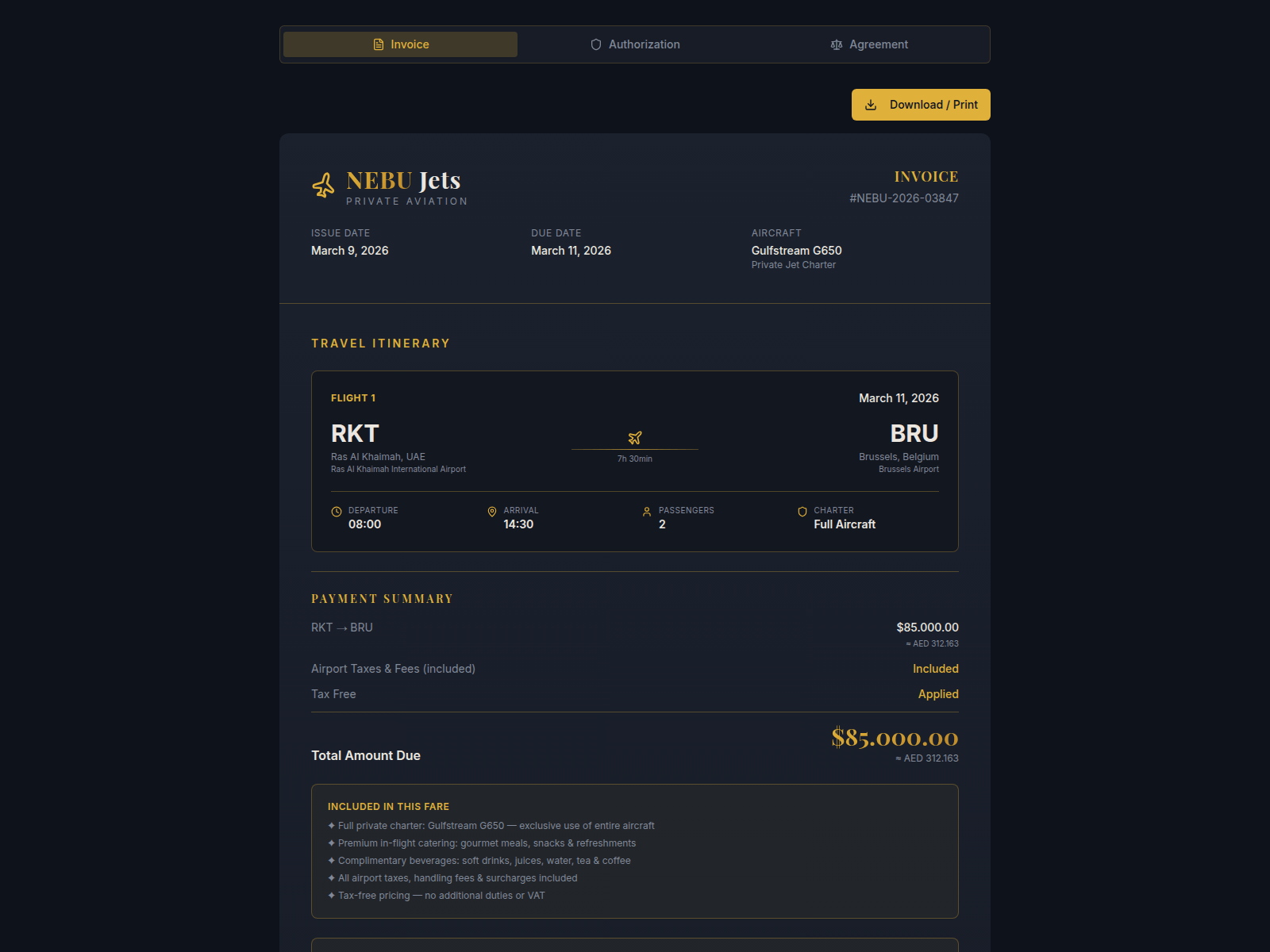 Screenshot of invoicenebu.com