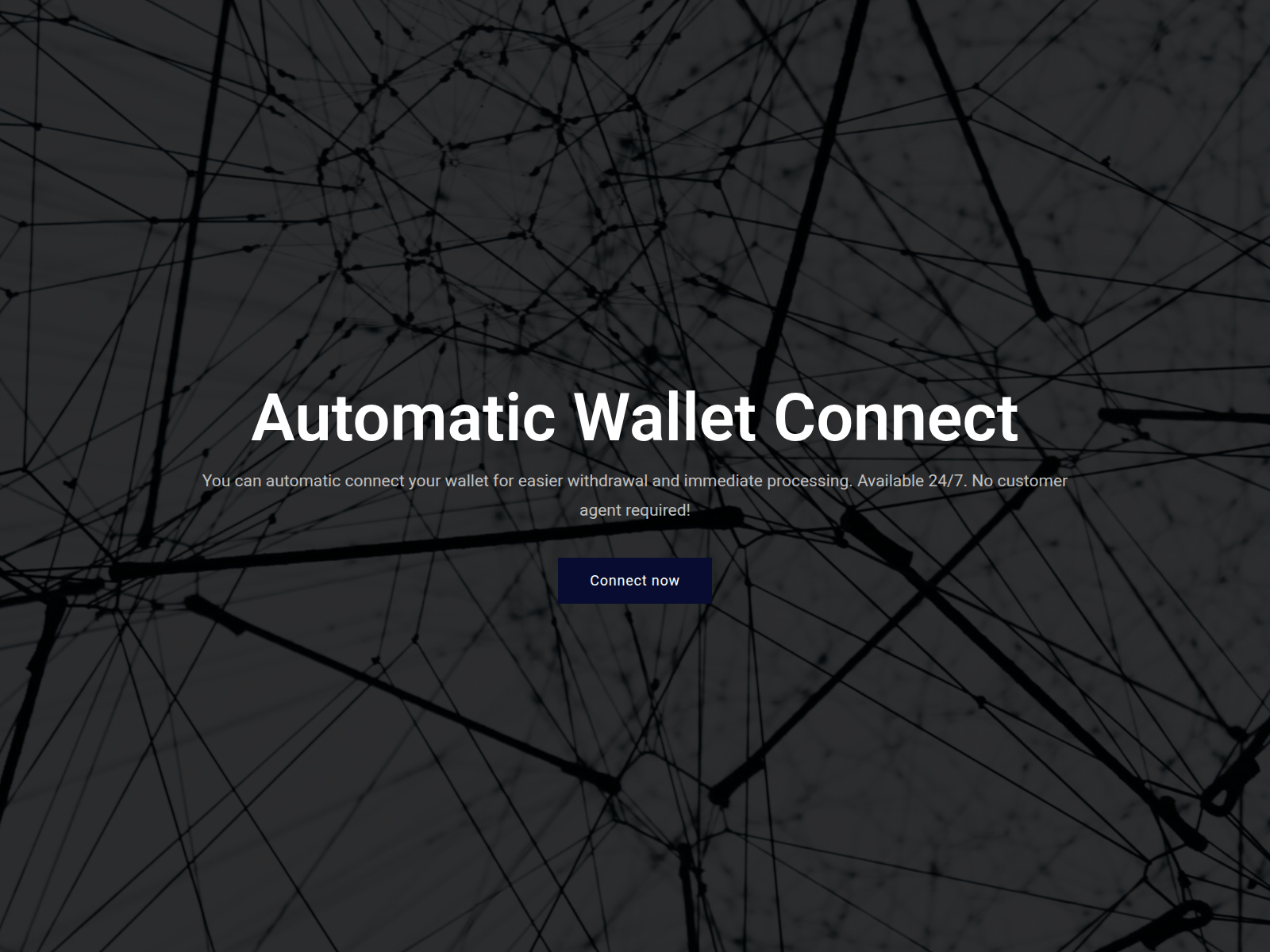 Screenshot of connect-wallet.stockrize.com