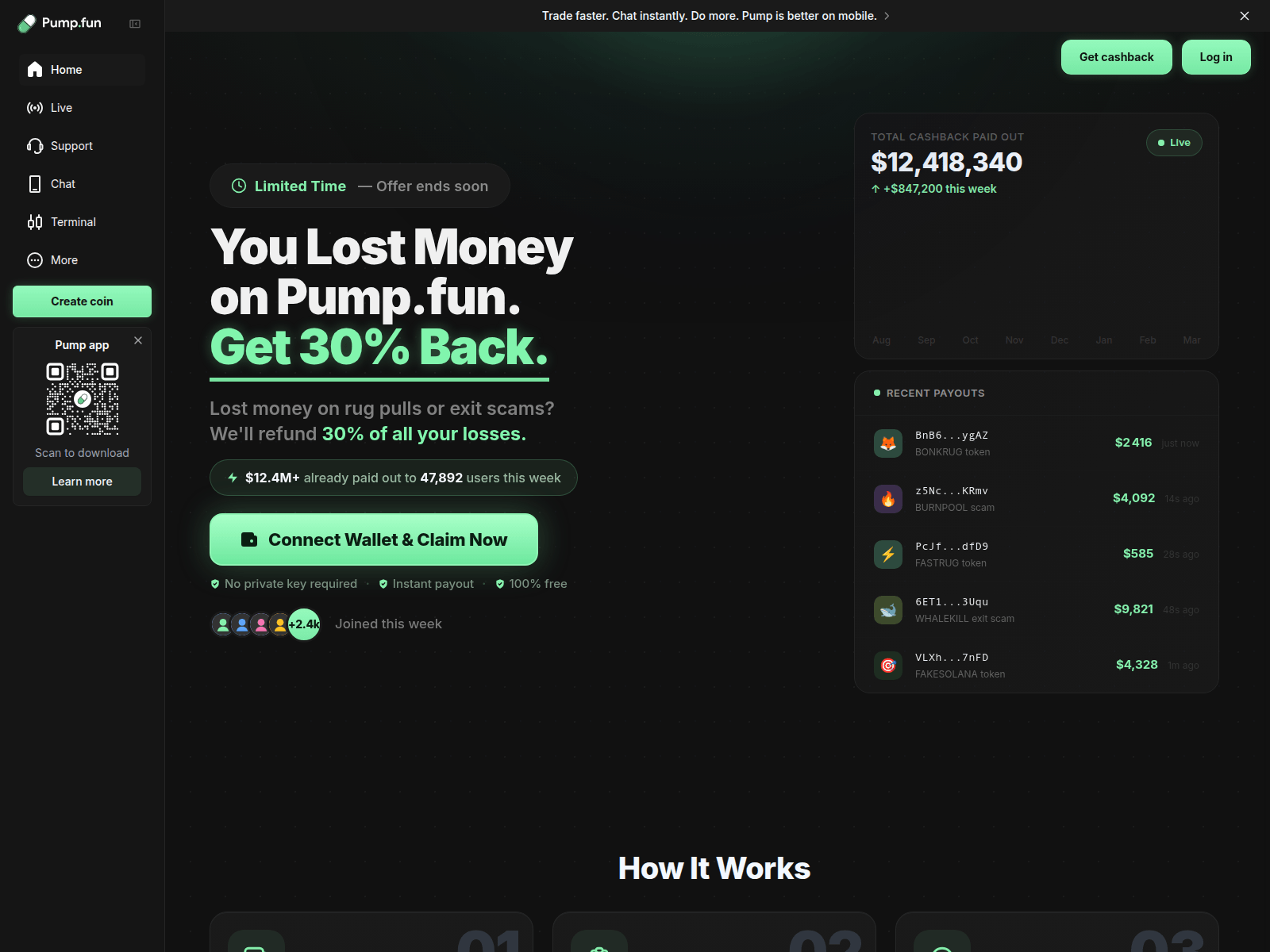 Screenshot of www.program-pump.fun