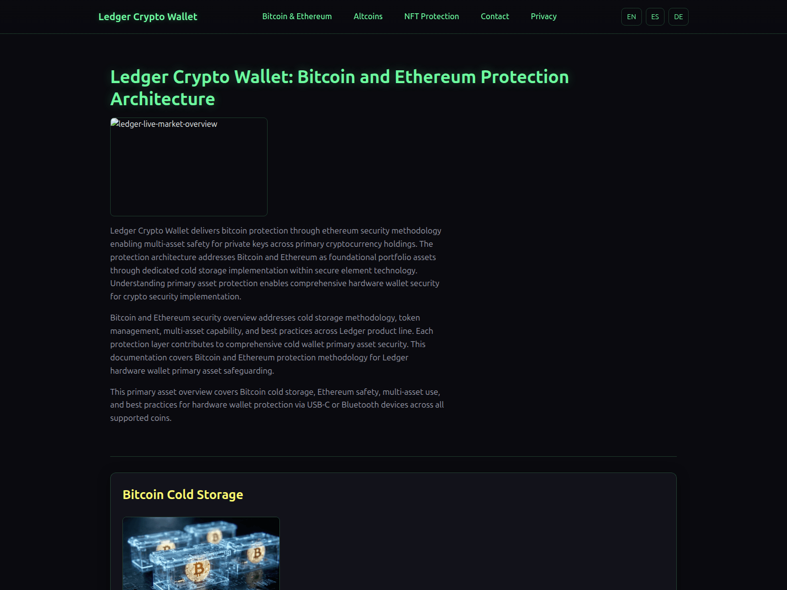 Forensic screenshot of ledger-crypto-wallet-bitcoin.com