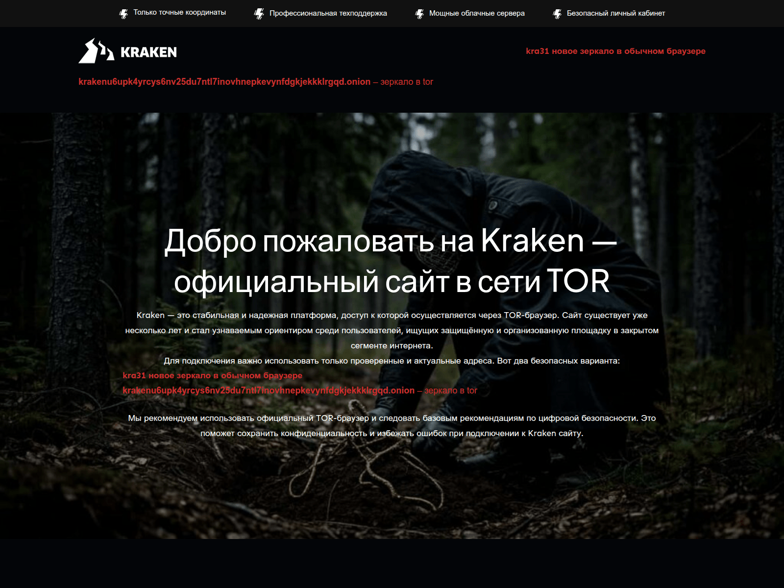 Screenshot of kra31at-cc.com