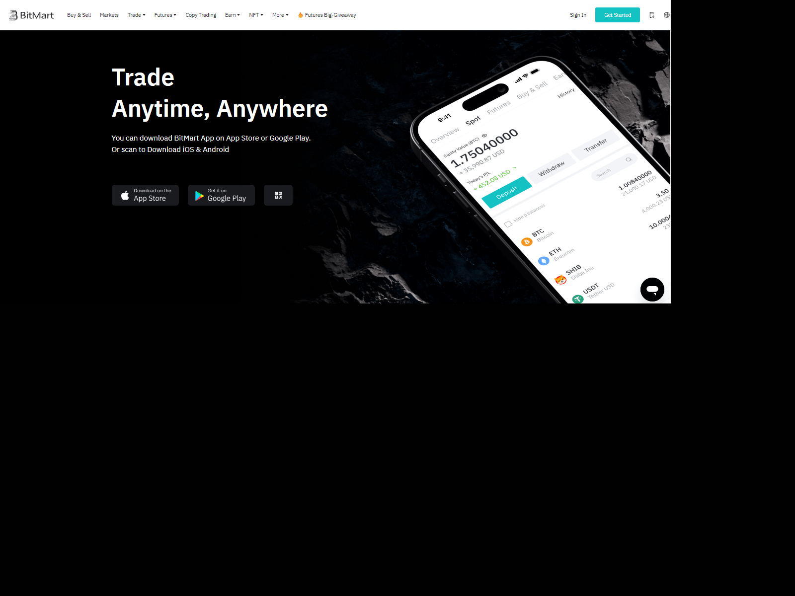 Screenshot of birttmertlogin.webflow.io