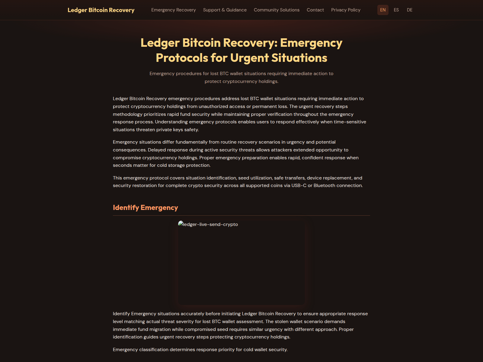 Forensic screenshot of bitcoin-ledger-recoveryx.org