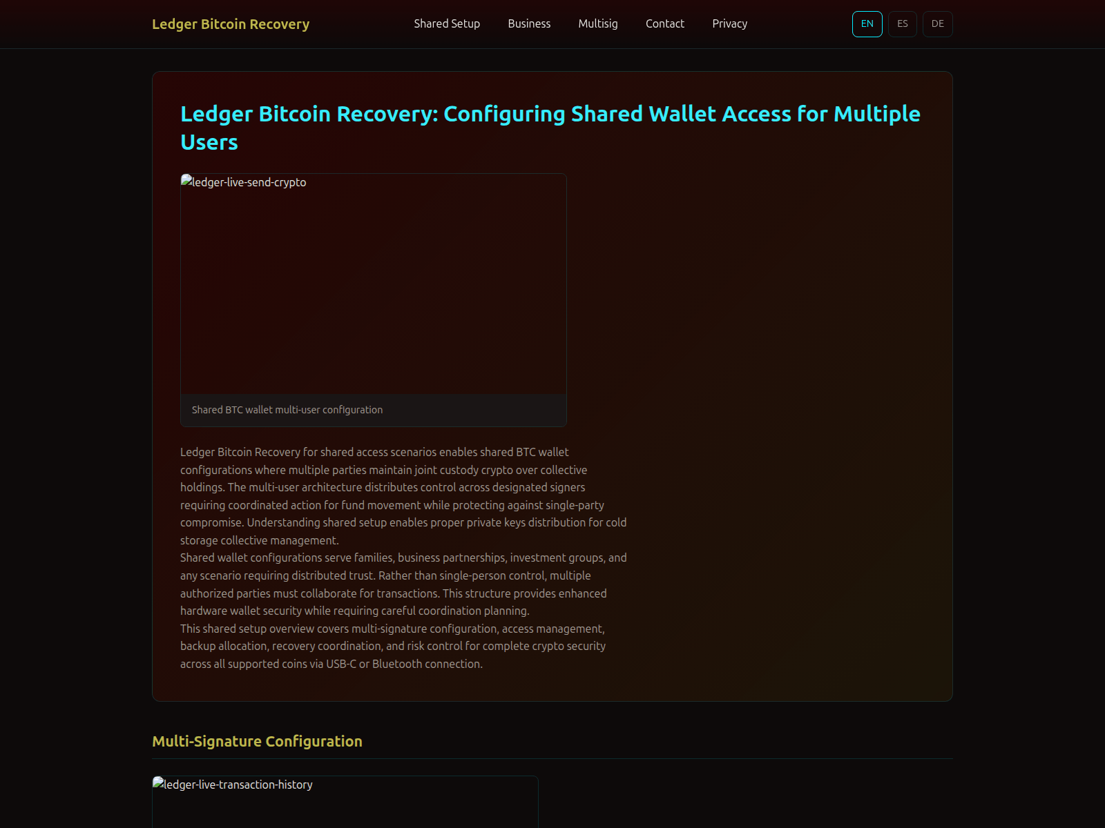 Forensic screenshot of ledger-bitcoin-recovery-wallet.com