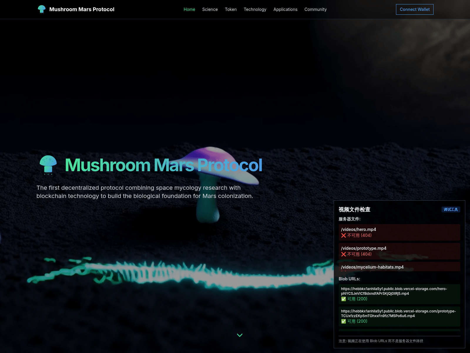 Screenshot of www.marsprotocol.space