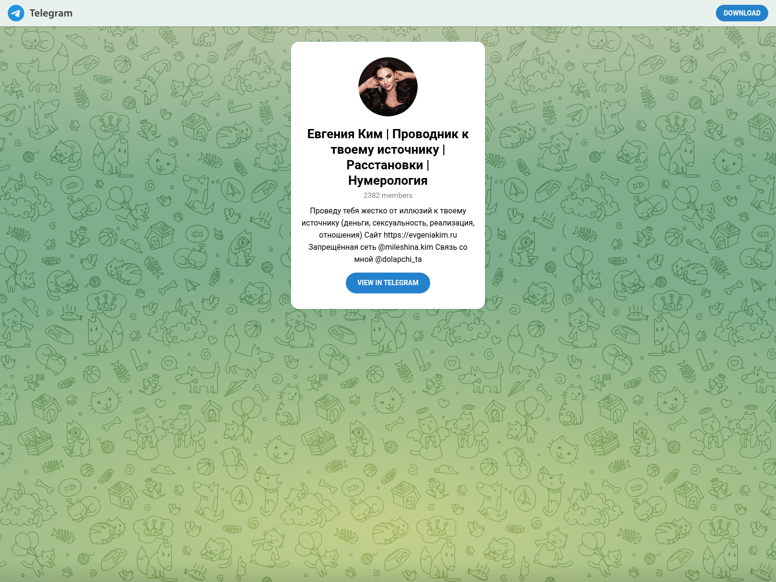 Screenshot of evgeniakim.world