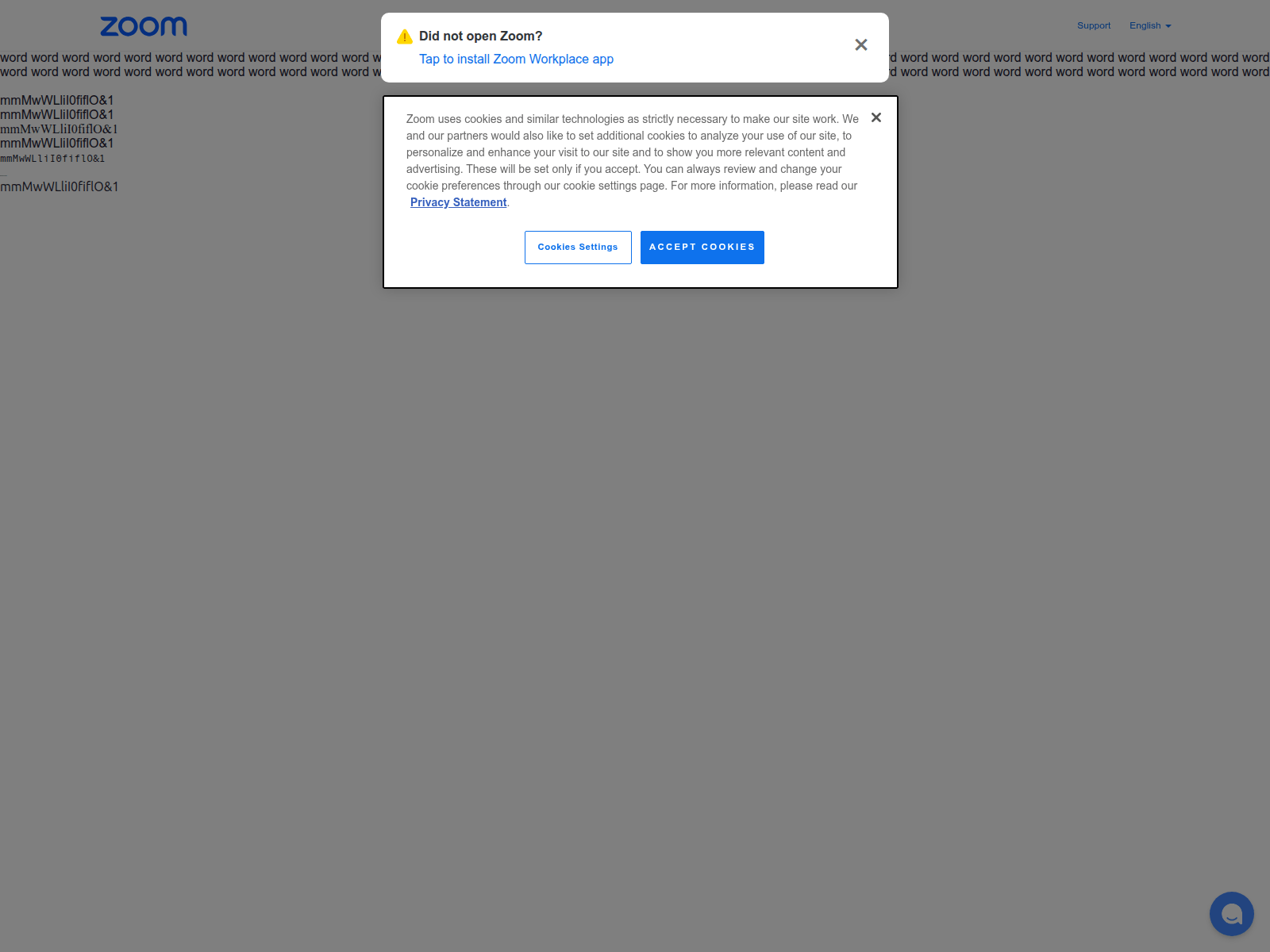 Screenshot of zoomwithrod.com