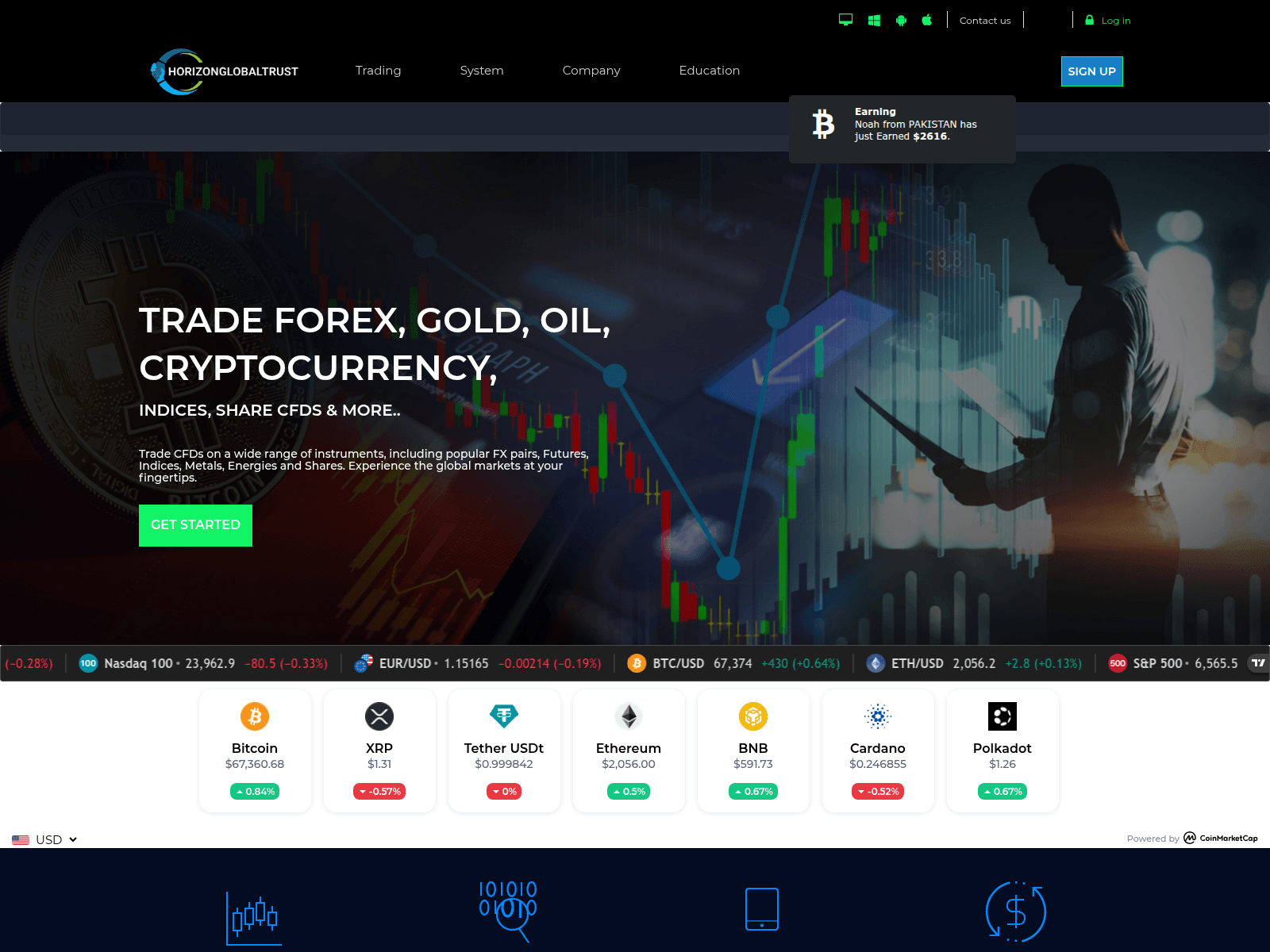 Screenshot of horizonglobaltrust.com