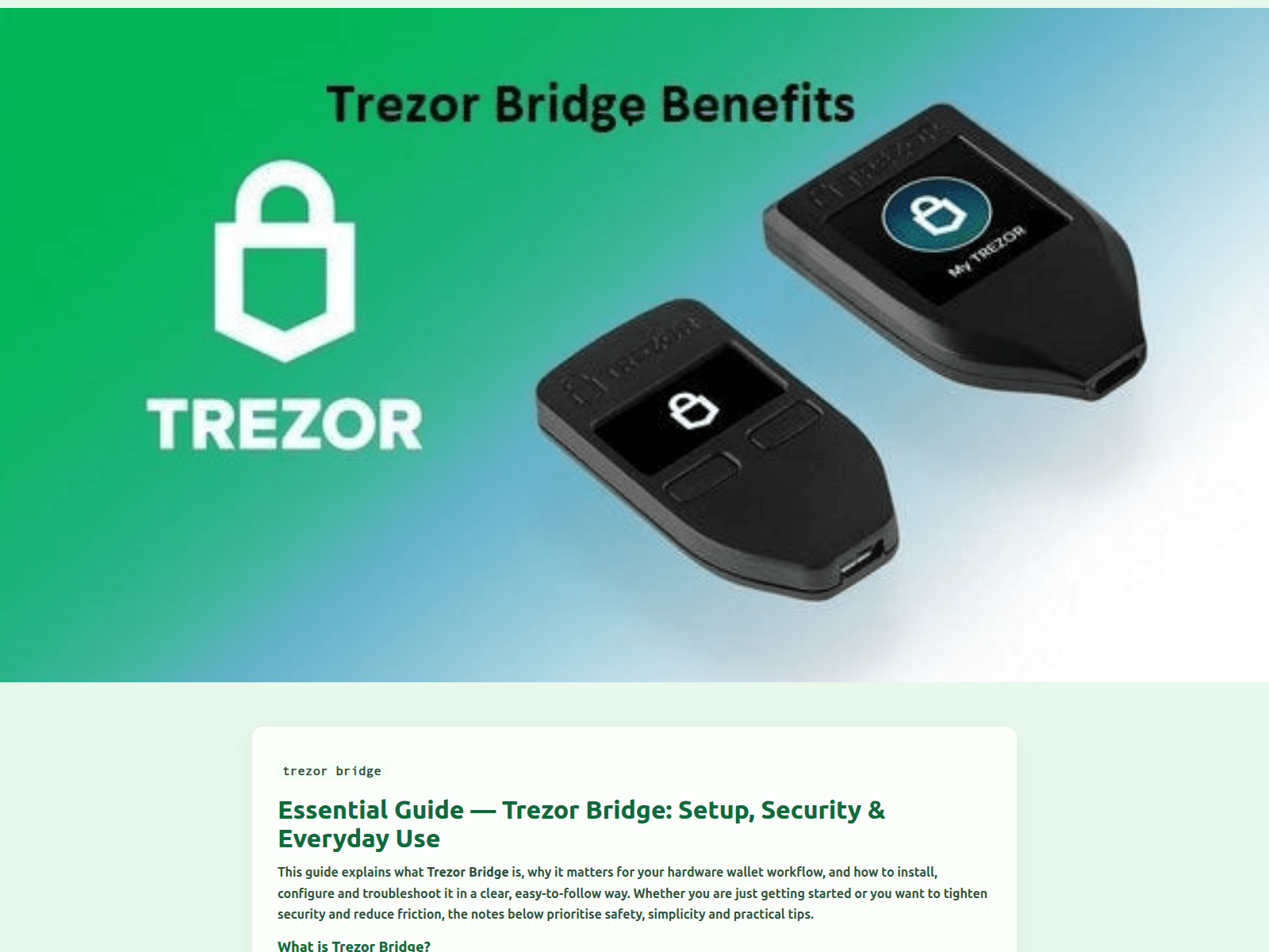 Screenshot of faq-bridge-trizor-en.pages.dev