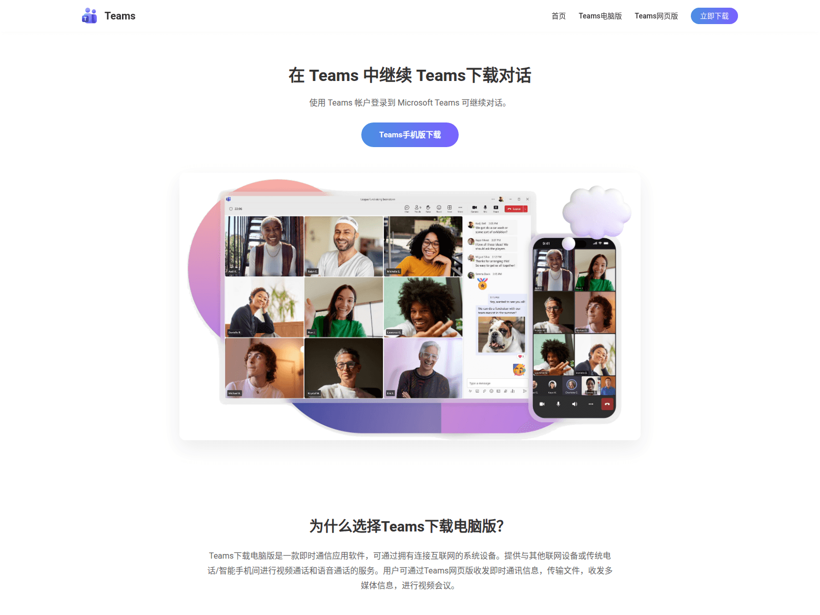 Screenshot of teamsapp.com.cn