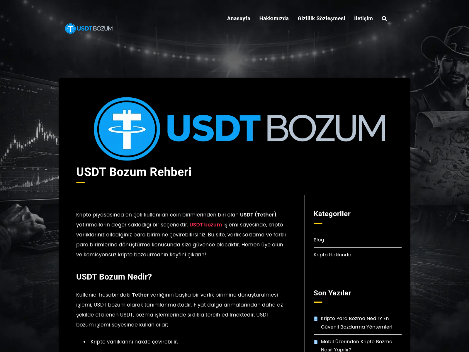 Screenshot of usdtbozum.com