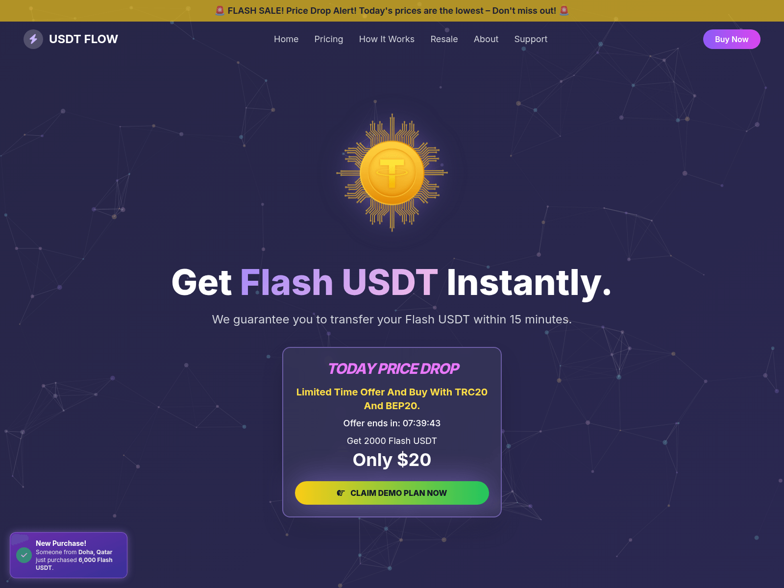 Screenshot of usdtflashsupplier.sale