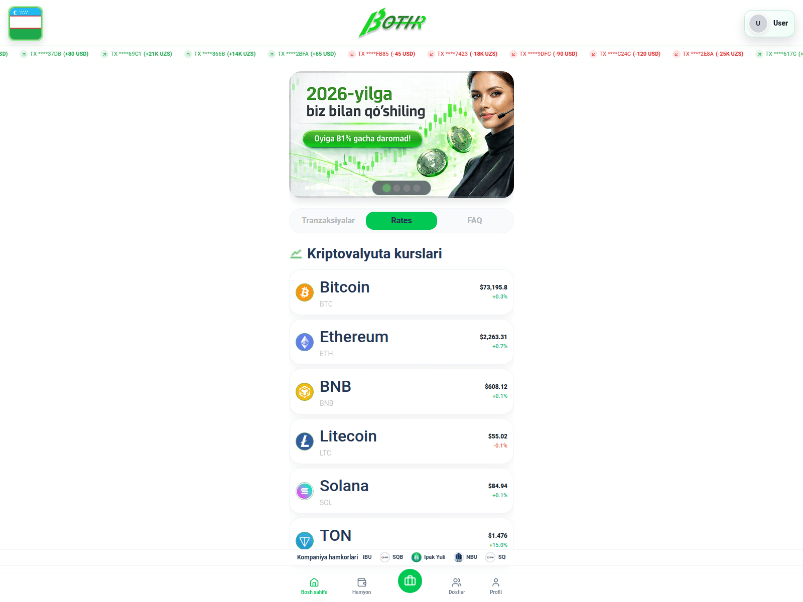 Screenshot of botirinvest.org