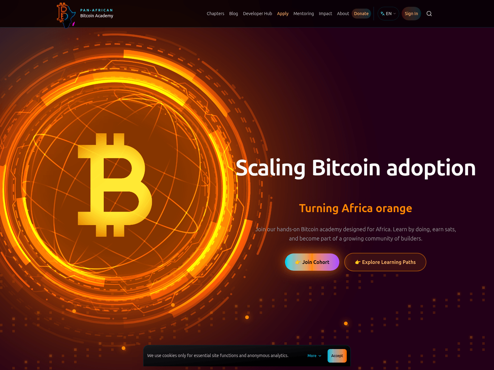Screenshot of www.panafricanbitcoin.com