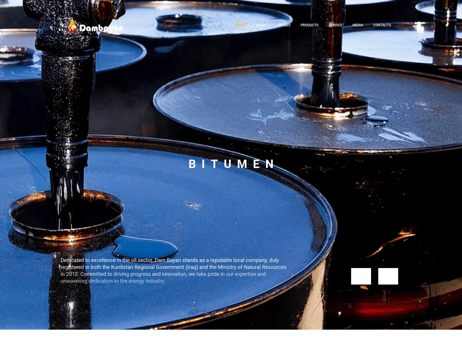 Screenshot of www.dambayan.com