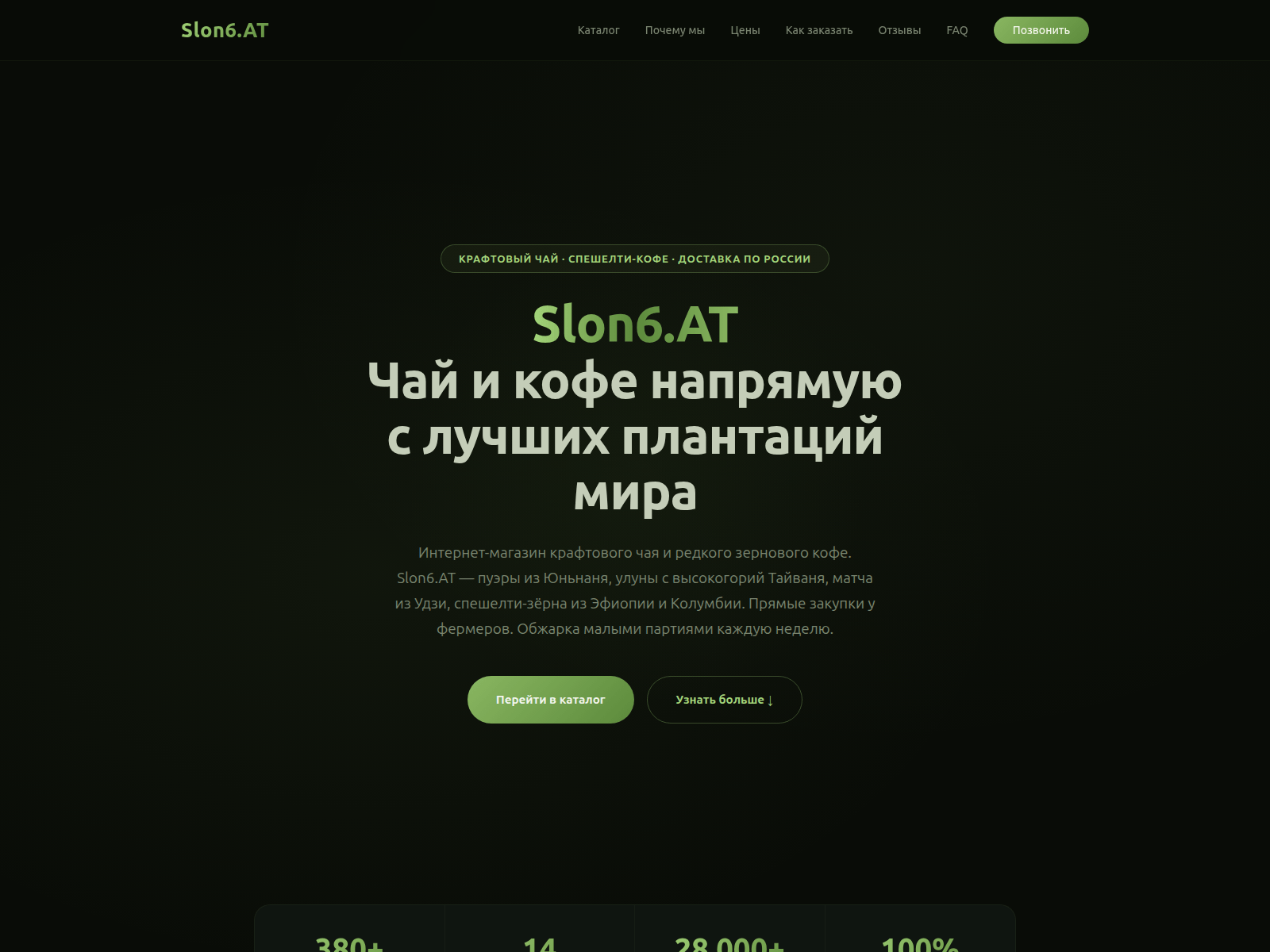 Screenshot of slon6-at.org