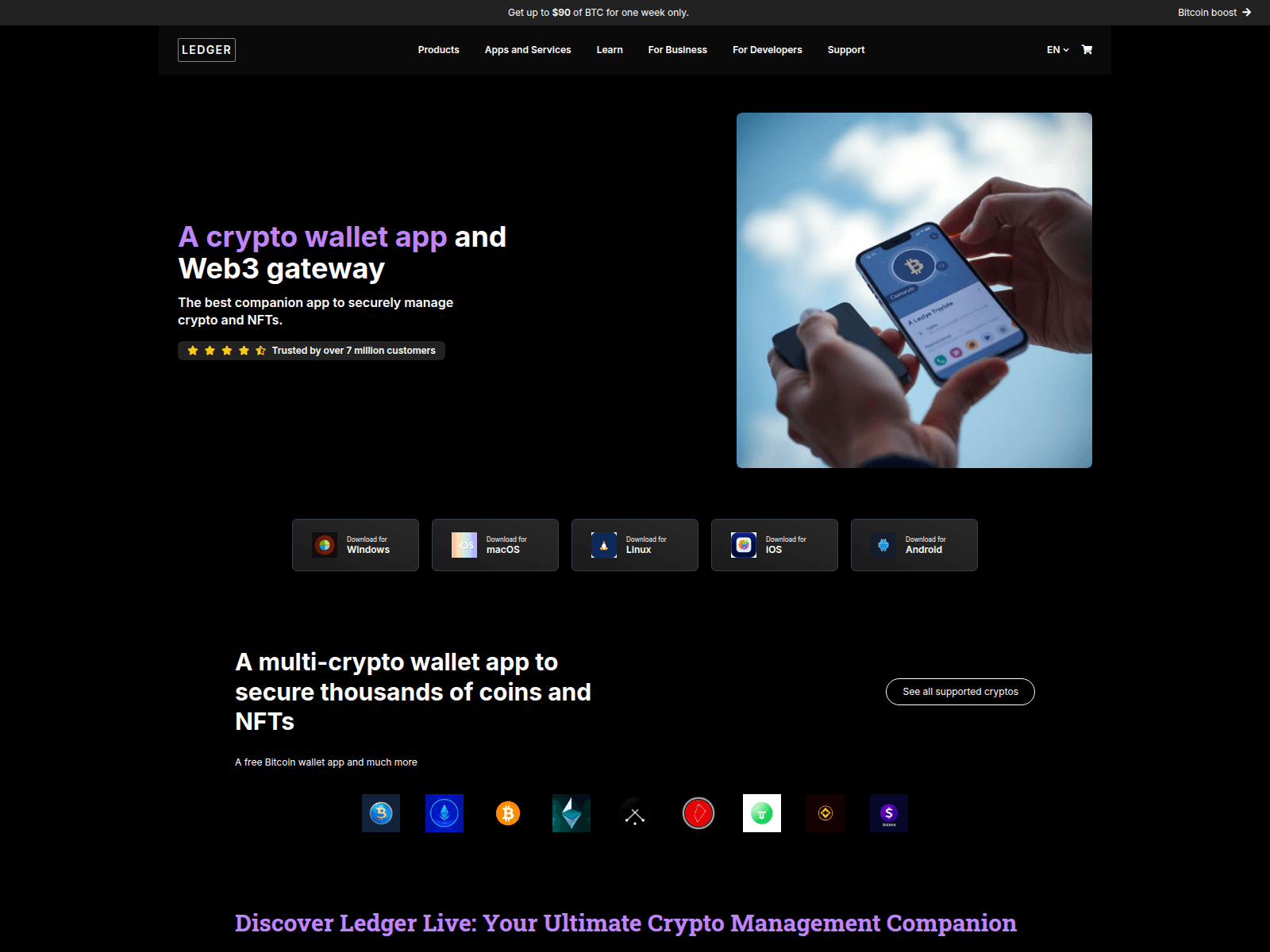 Screenshot of ledger-eng-faq.pages.dev