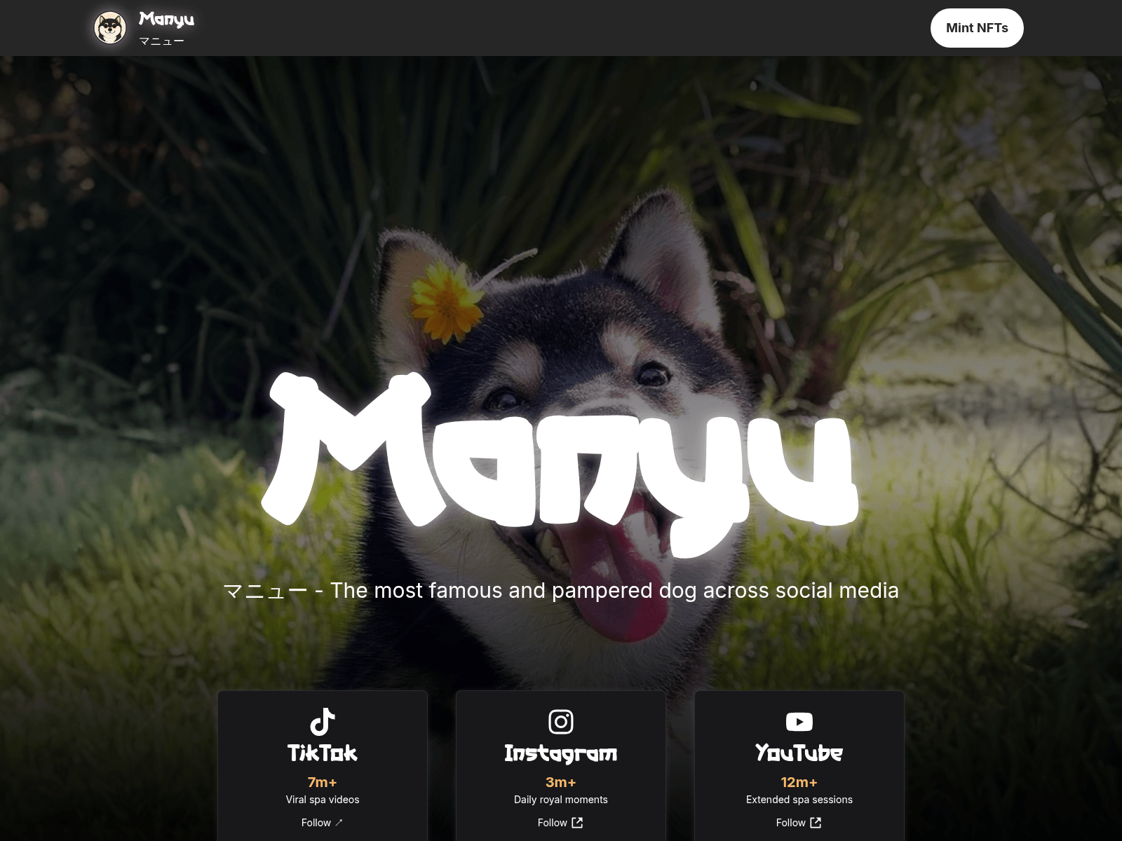 Screenshot of manyushlba.live