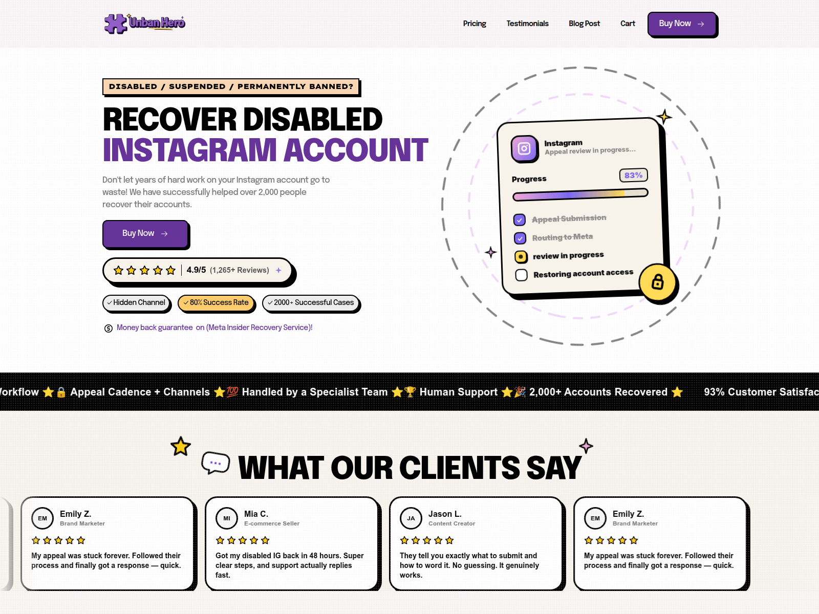 Screenshot of ig-recovery.com