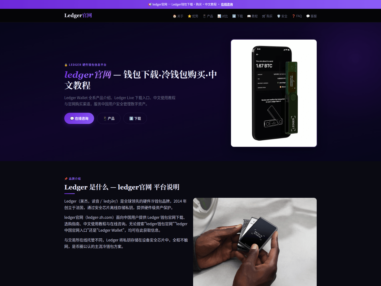 Screenshot of ledger-zh.com