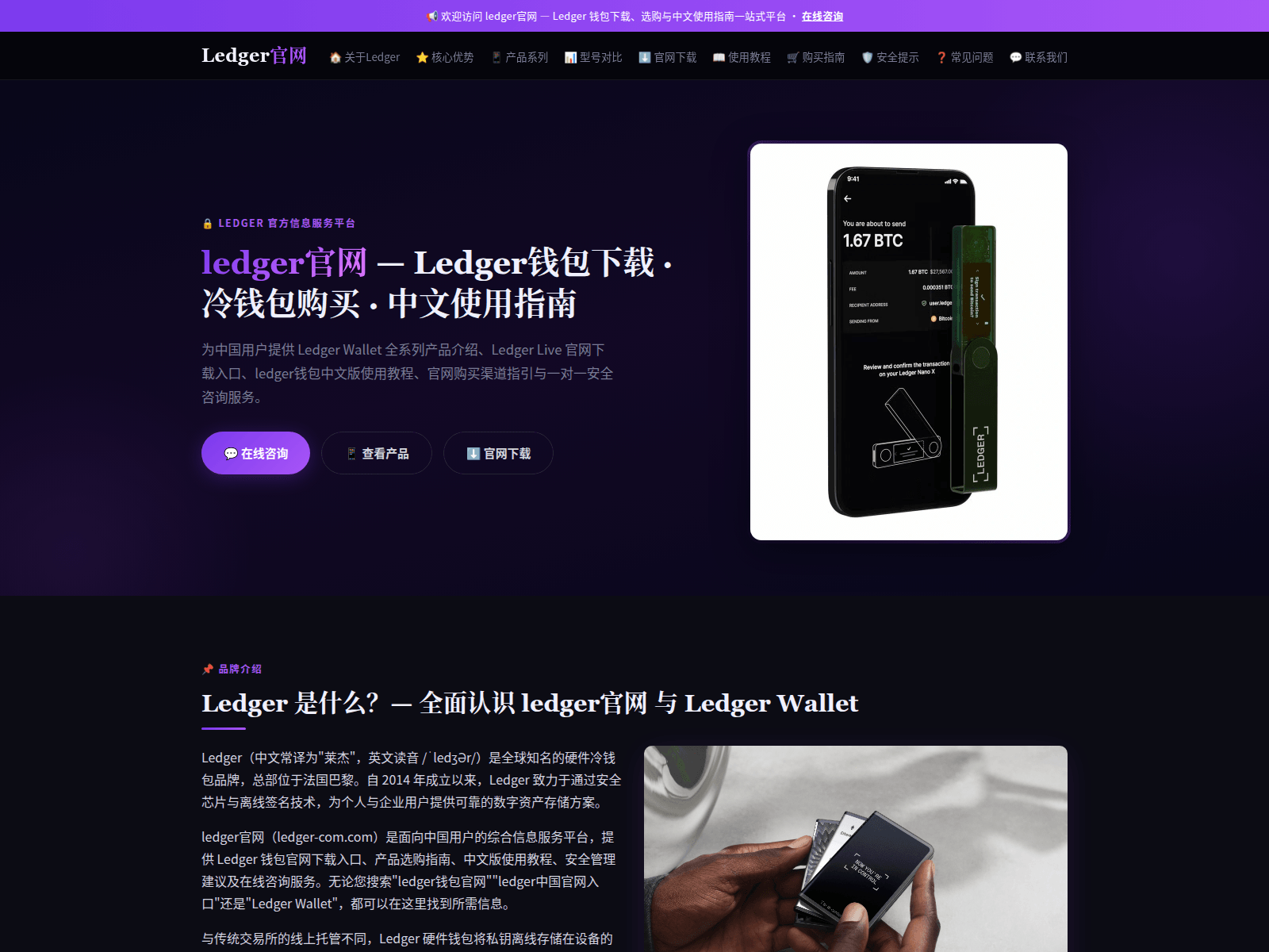 Screenshot of ledger-com.com