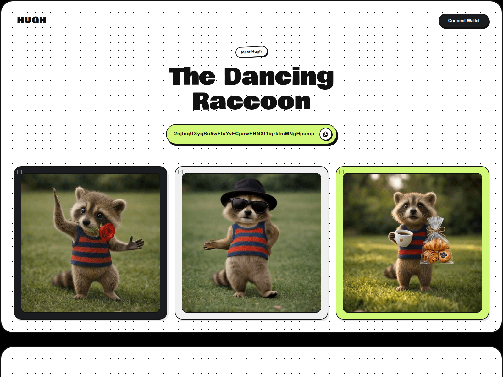 Screenshot of hughraccoon.run