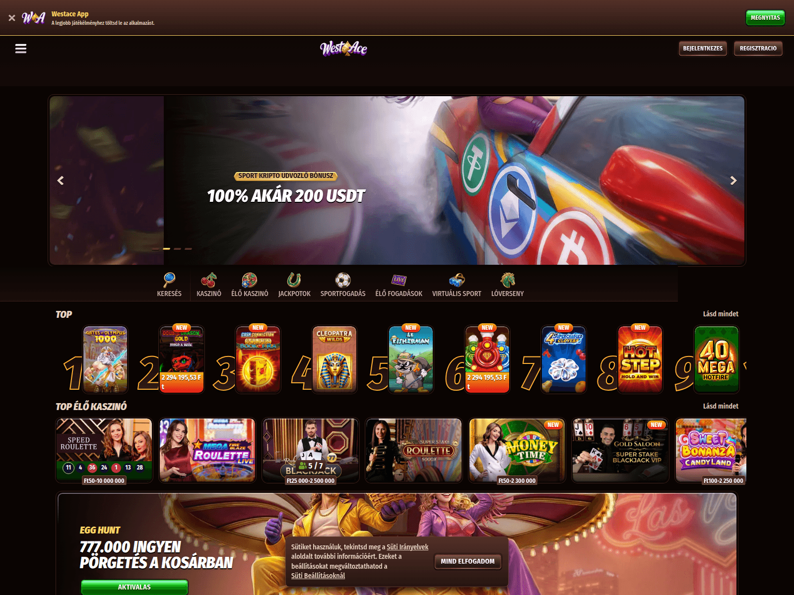 Screenshot of westace3.com