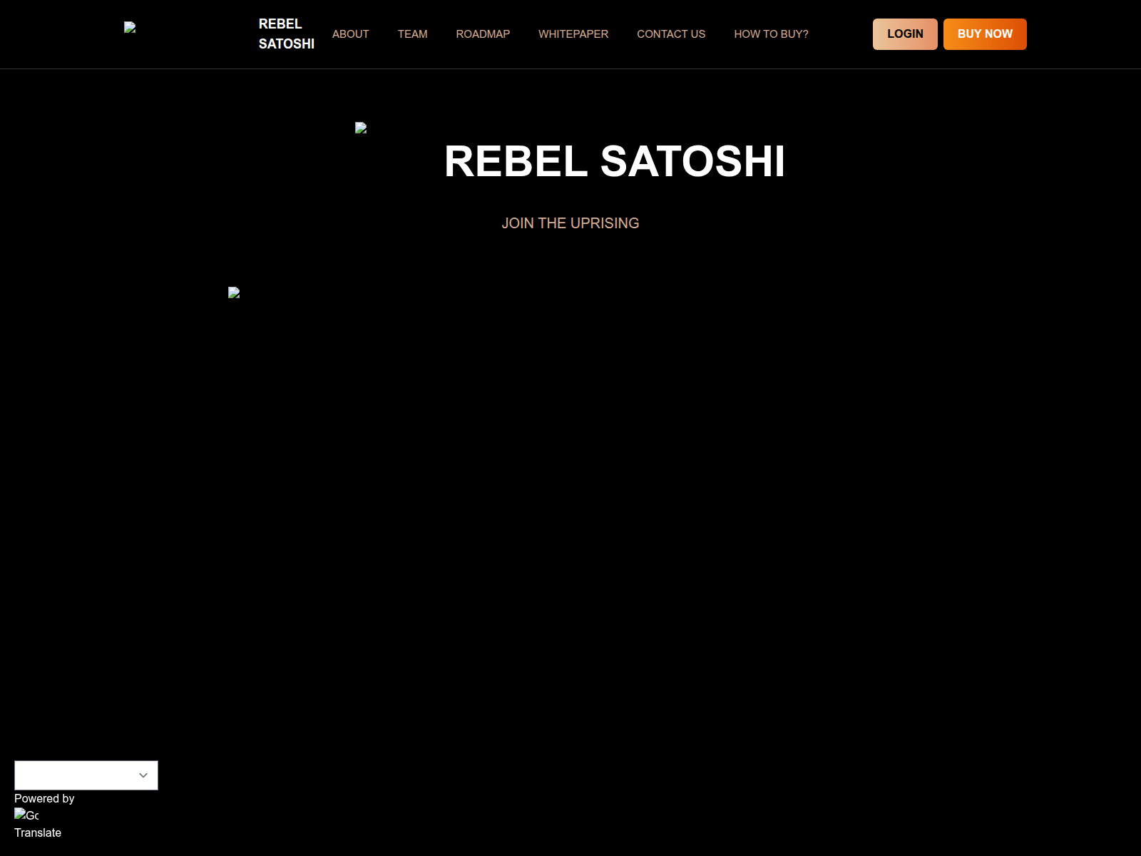 Screenshot of rebelsatoshi-in.pages.dev