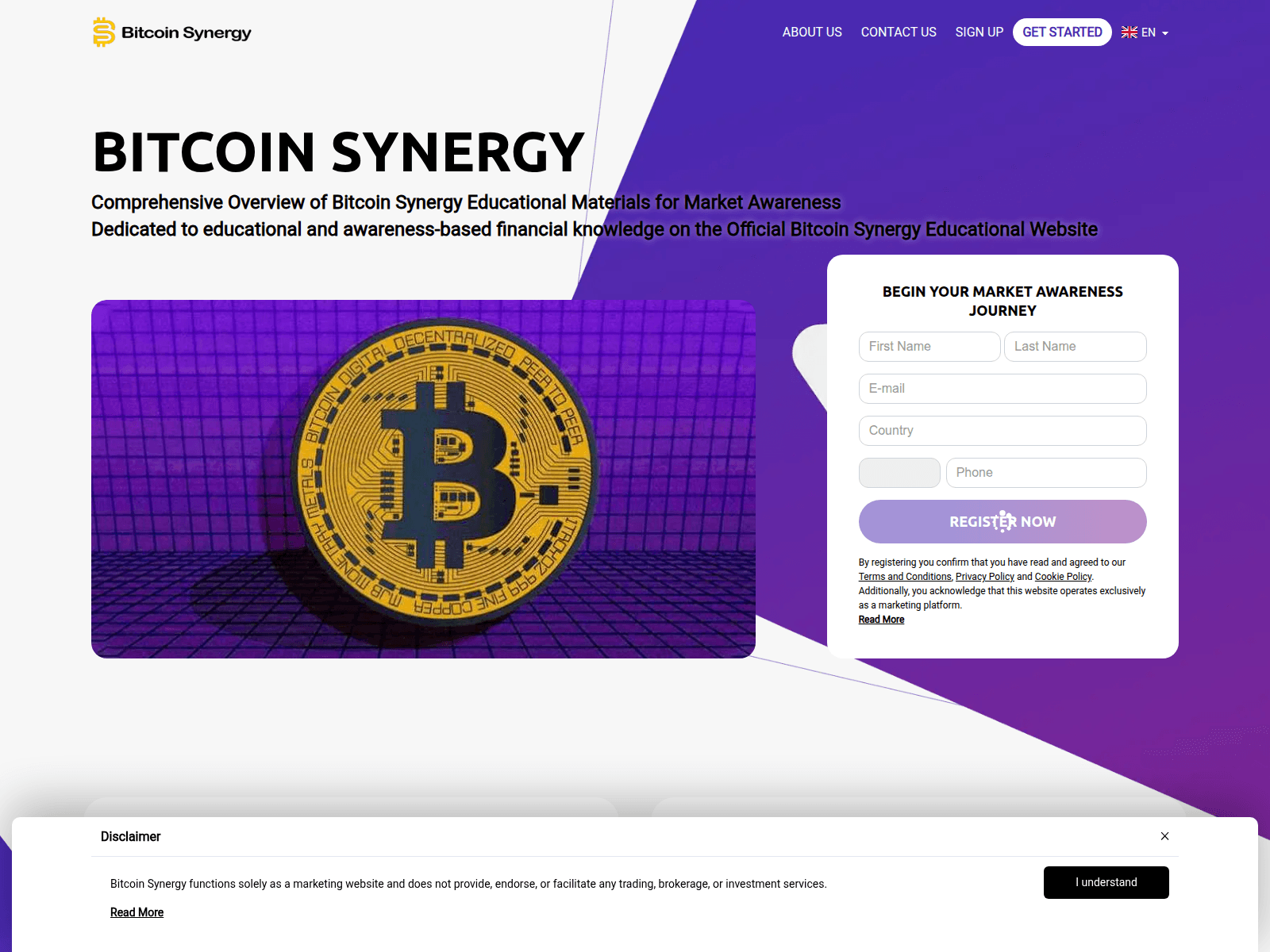 Screenshot of the-bitcoin-synergy.com