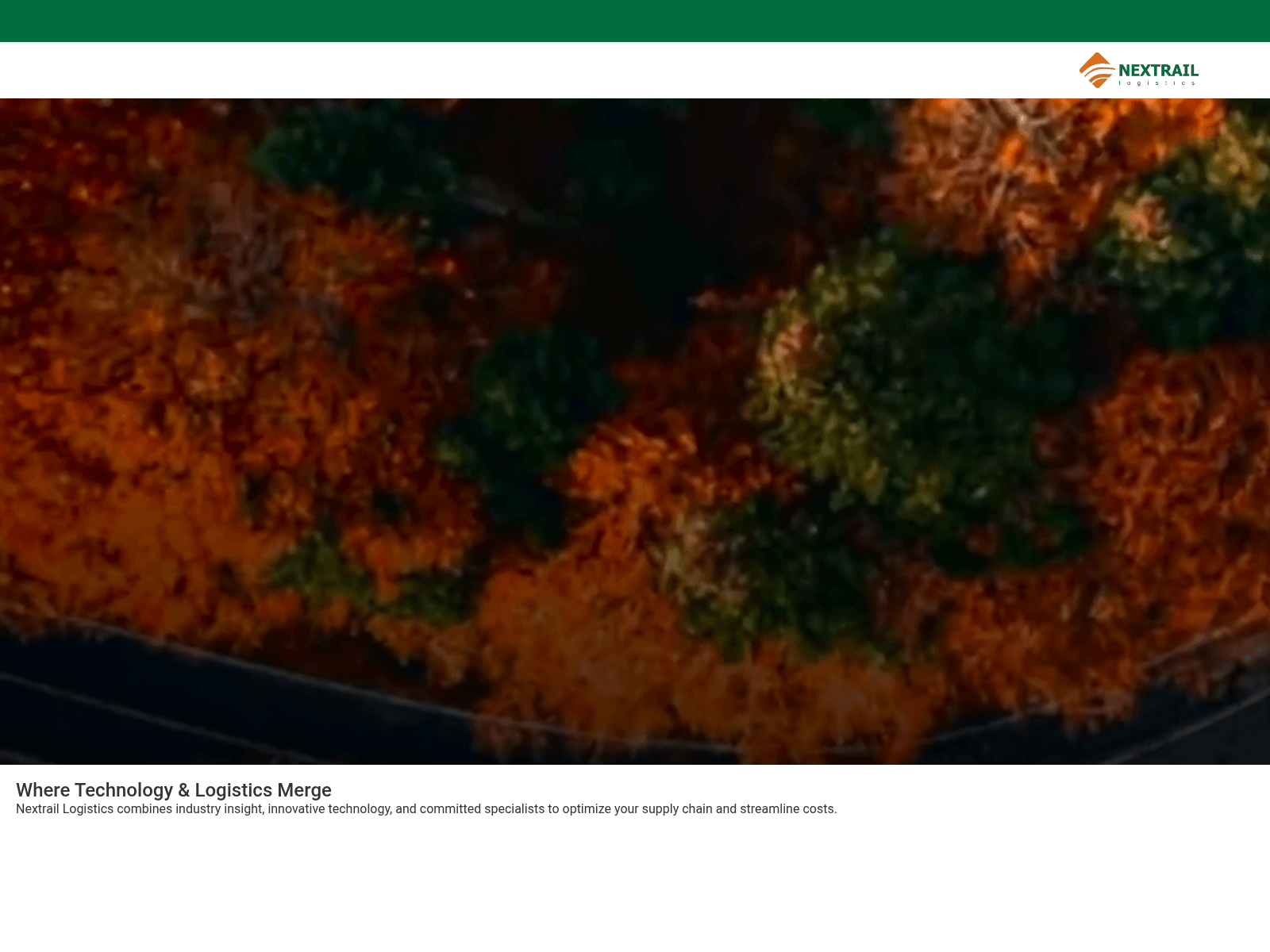 Screenshot of nextrail-logistics.online