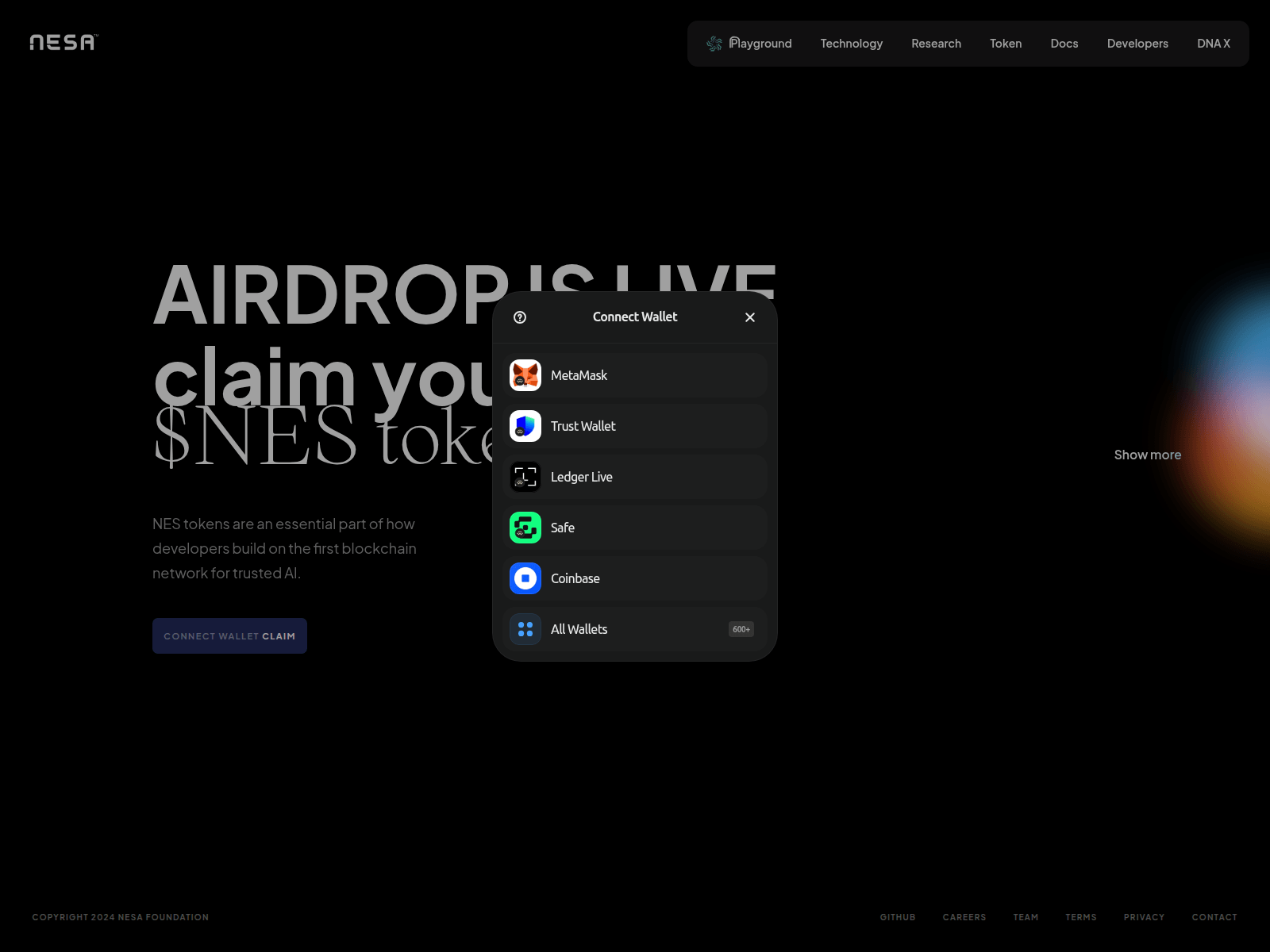 Screenshot of nesa.pages.dev