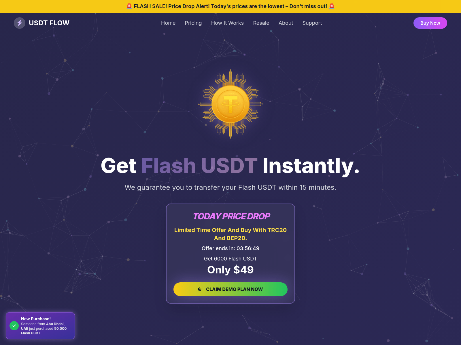 Screenshot of flashusdtsale.buzz