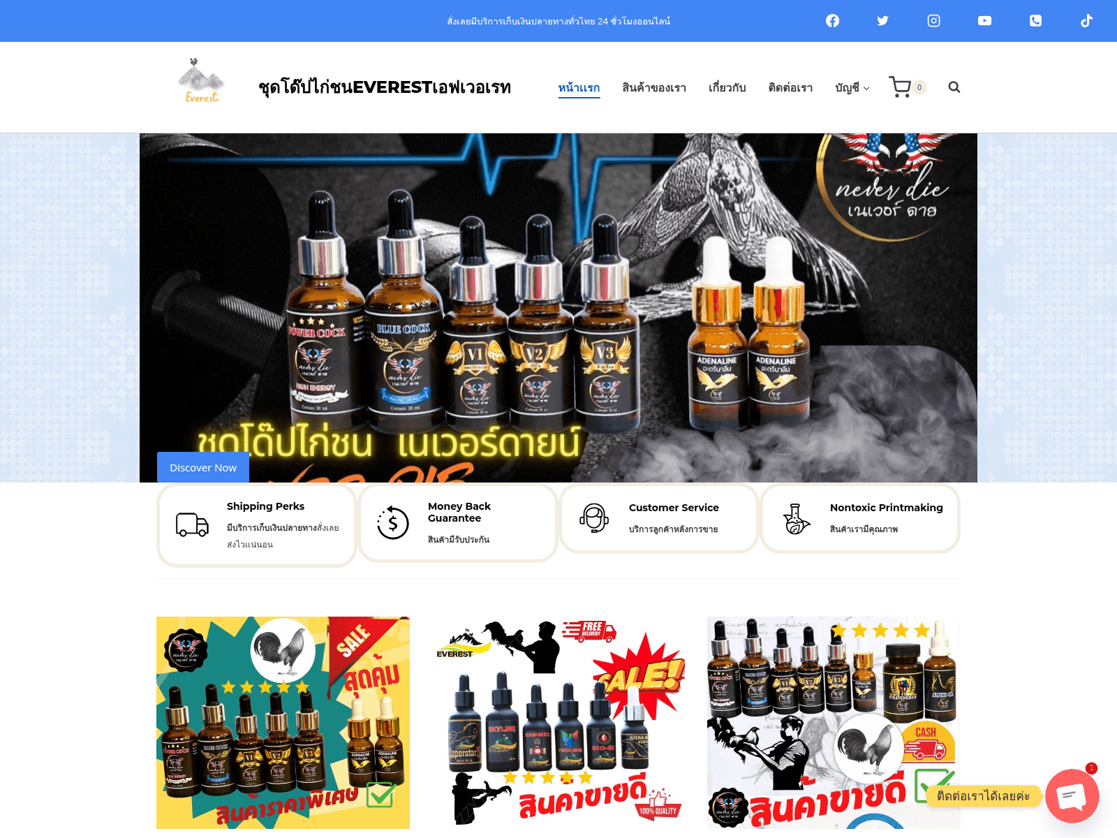 Screenshot of everestcity.com