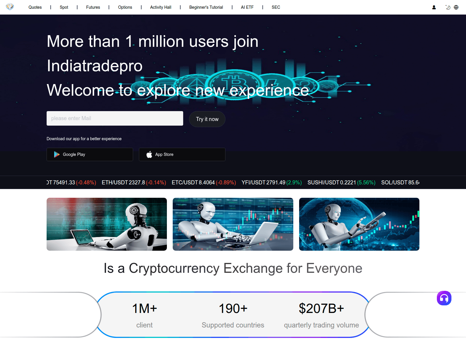 Screenshot of indiatradepro.net