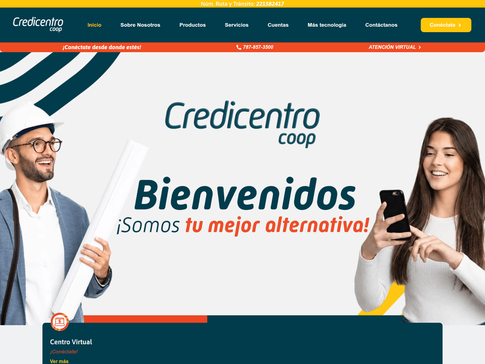 Screenshot of servicio-gestion-web.com