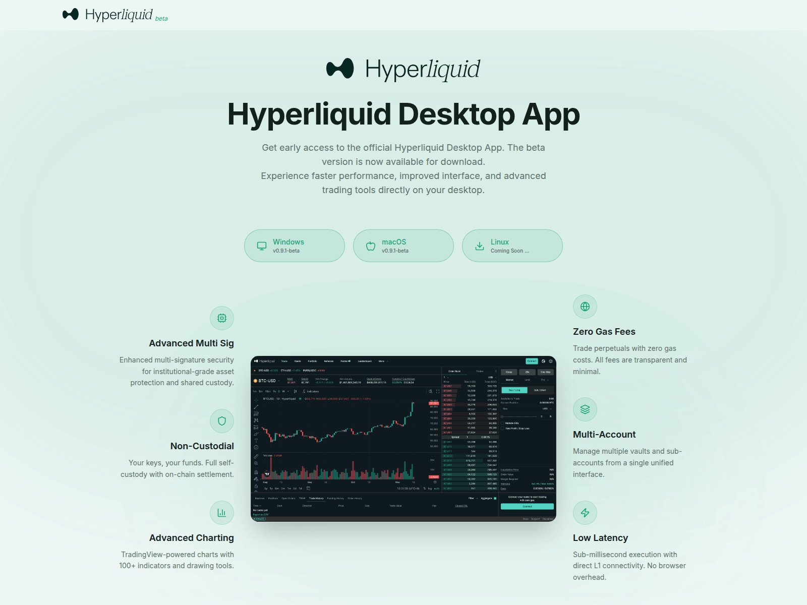 Screenshot of hyperliquidbeta.xyz