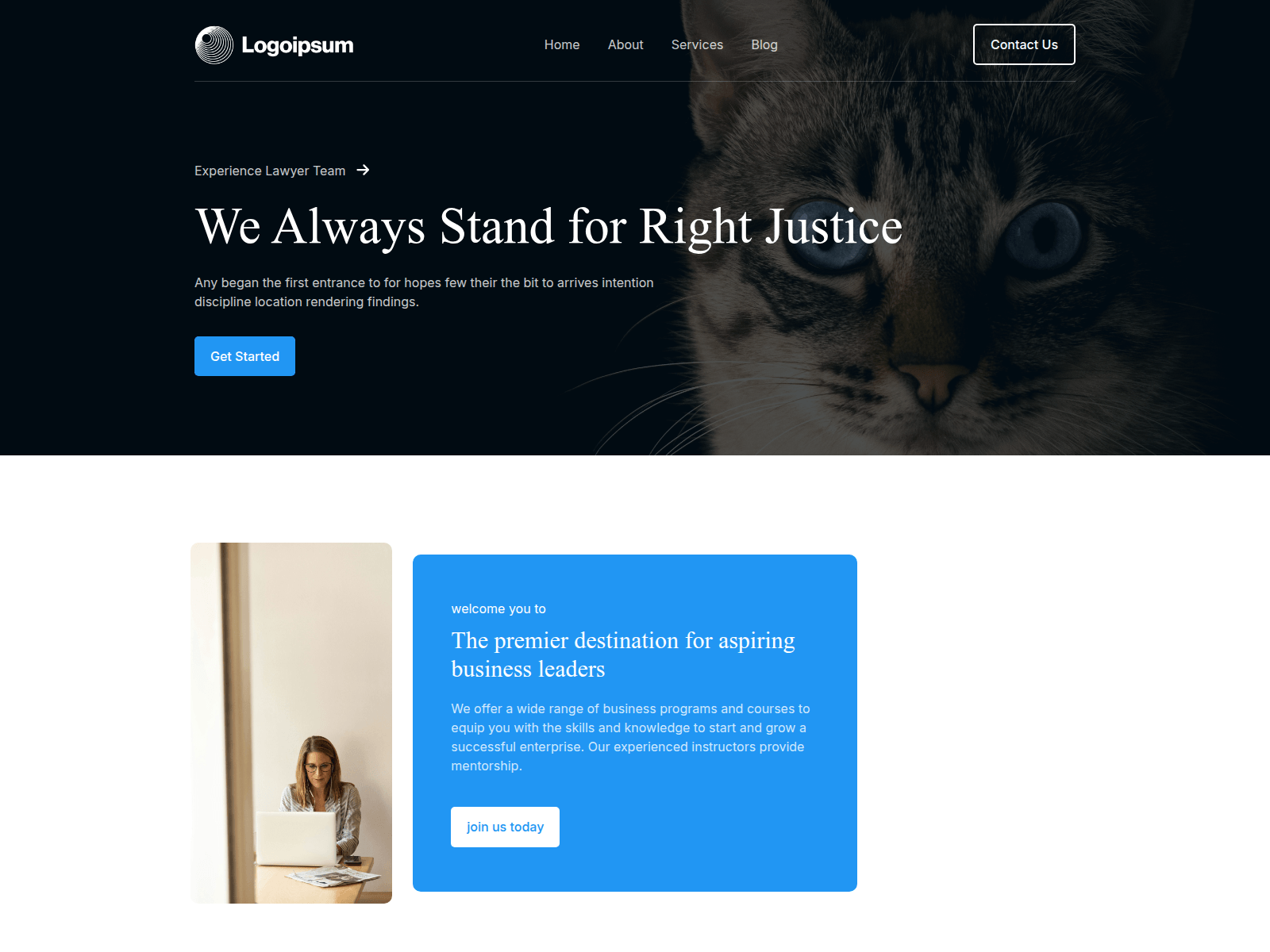 Screenshot of veridicta.shop