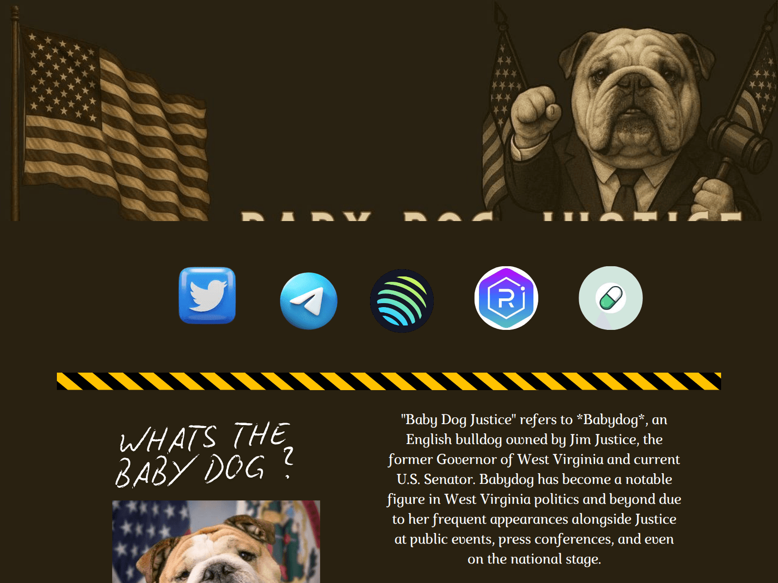 Screenshot of babydogsolana.com