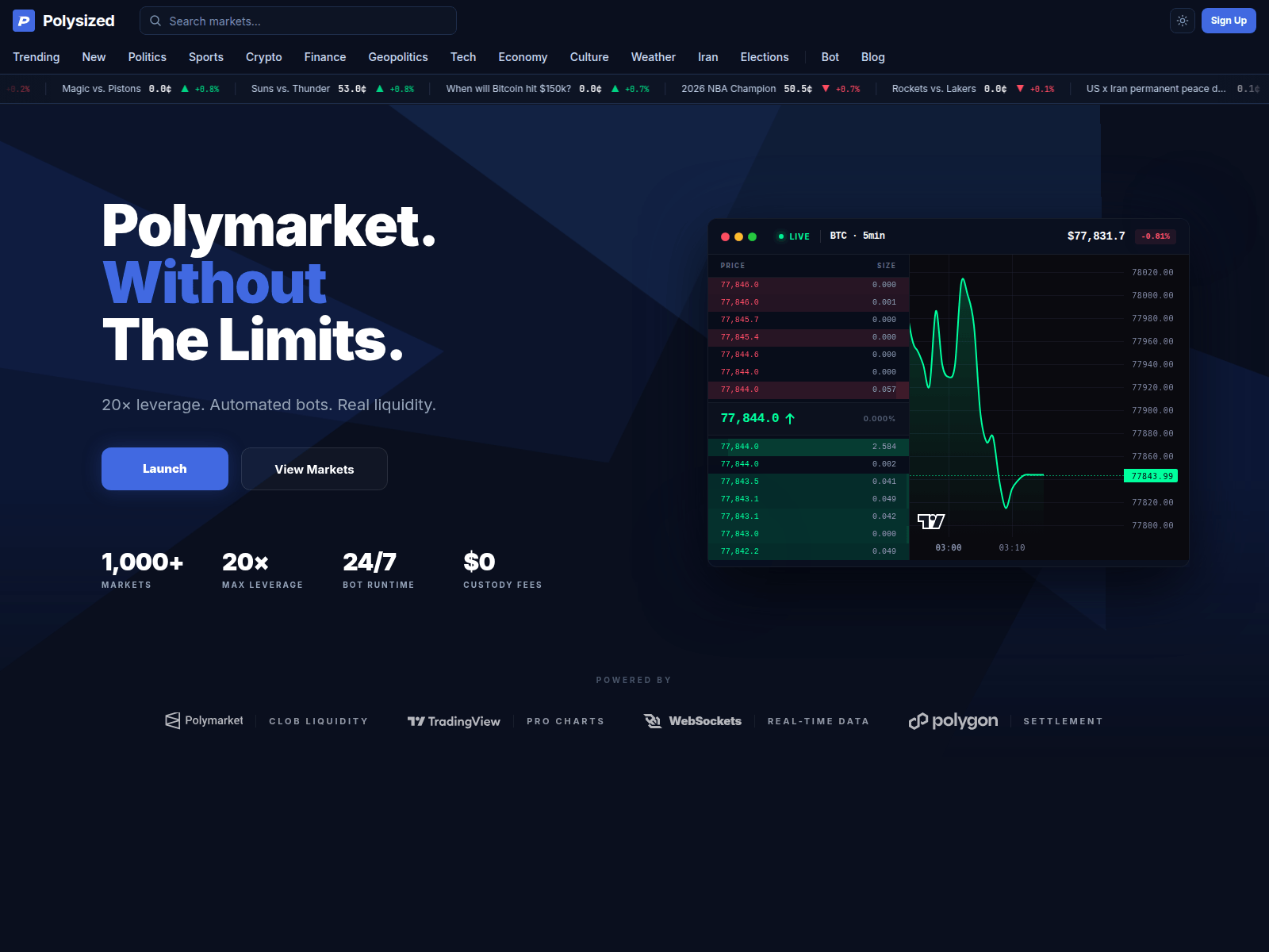 Screenshot of polysized.com